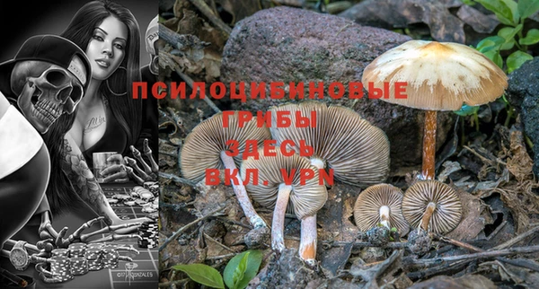 mix Белокуриха