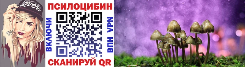 Галлюциногенные грибы мицелий  гидра   Малмыж 